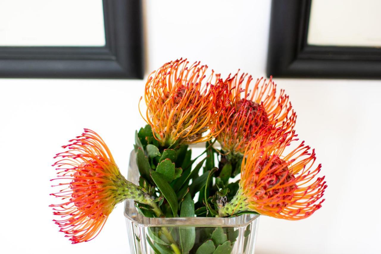 Hotel Vida Nova Retreat Hout Bay Esterno foto